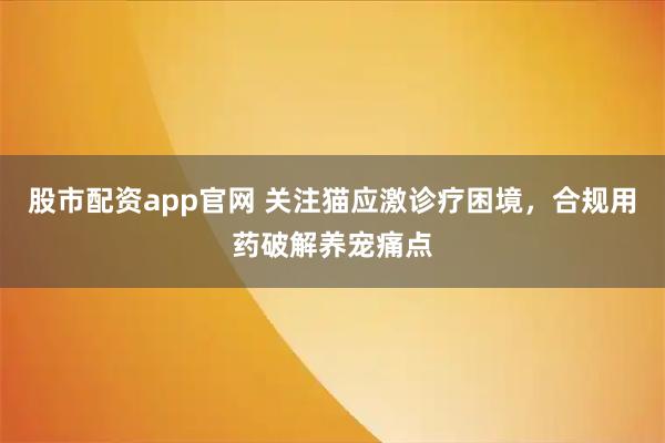 股市配资app官网 关注猫应激诊疗困境，合规用药破解养宠痛点